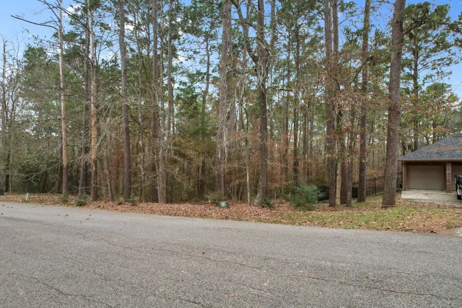 219 Kings Way, Coldspring, TX 77331 - #3