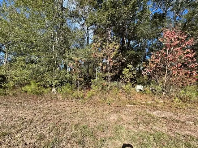 1964 County Road 3434, North Cleveland, TX 77327 - #3