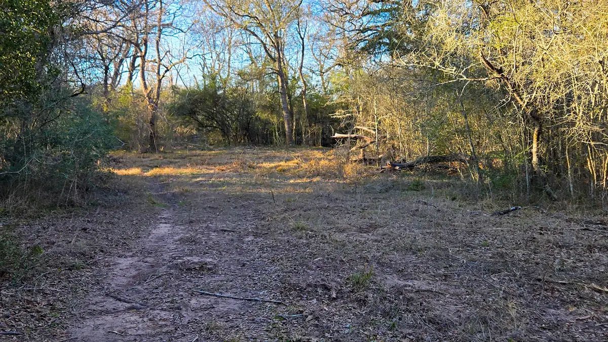00 Derrick Road, Navasota, TX 77868 - #1