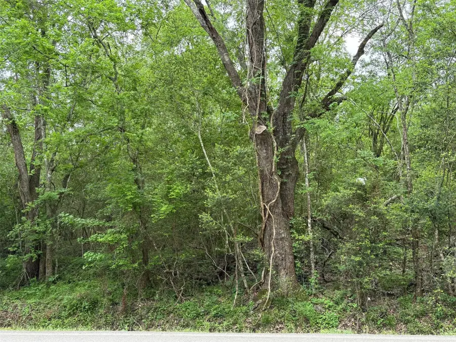 0 Huffman-eastgate Road, Huffman, TX 77336 - Image #3