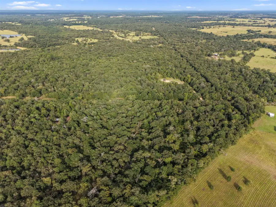 TBD Cr 102, Leona, TX 75850 - #2