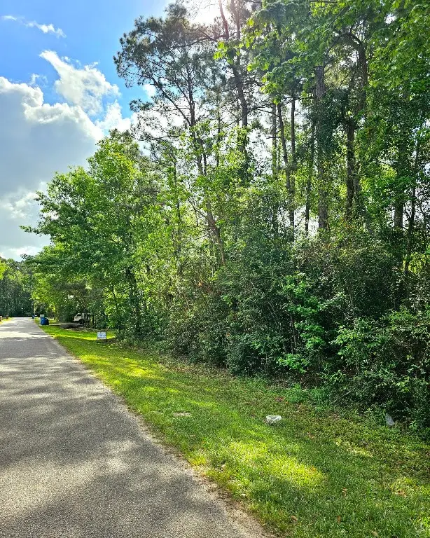 TBD Bernard Court, Porter, TX 77365 - #2