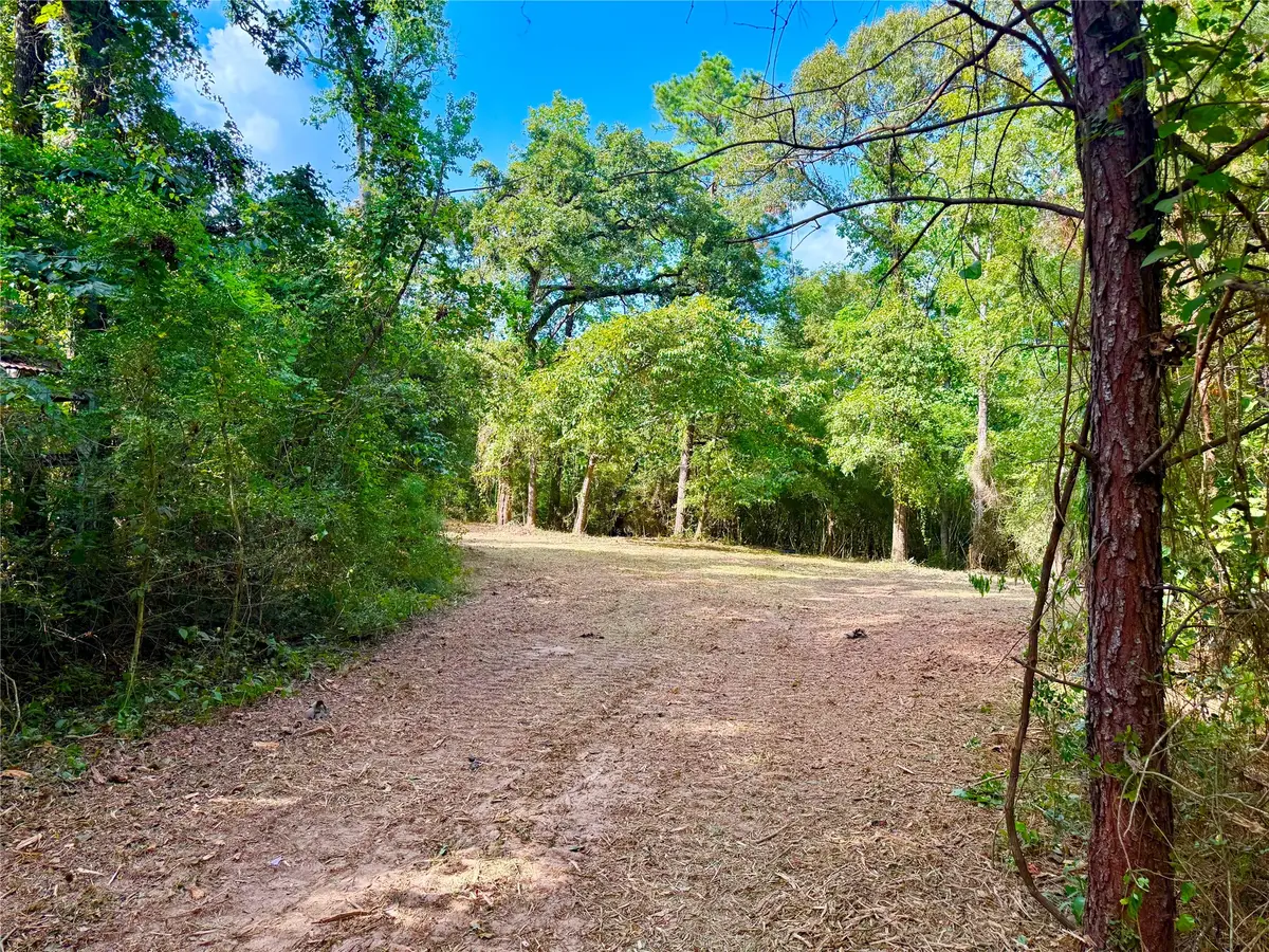 40718 Friartuck Drive, Montgomery, TX 77316 - #1