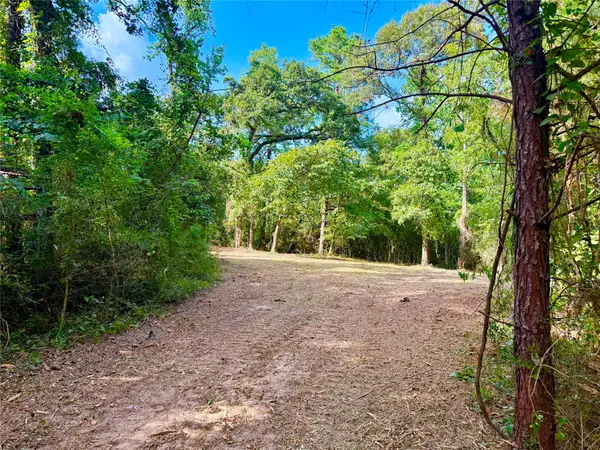 40718 Friartuck Drive, Montgomery, TX 77316