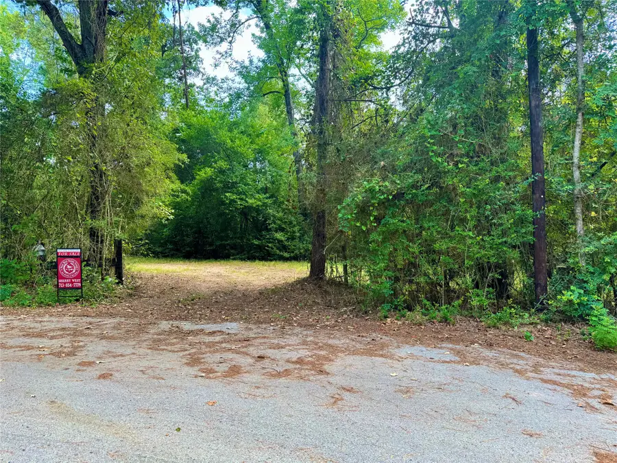 40718 Friartuck Drive, Montgomery, TX 77316 - #3