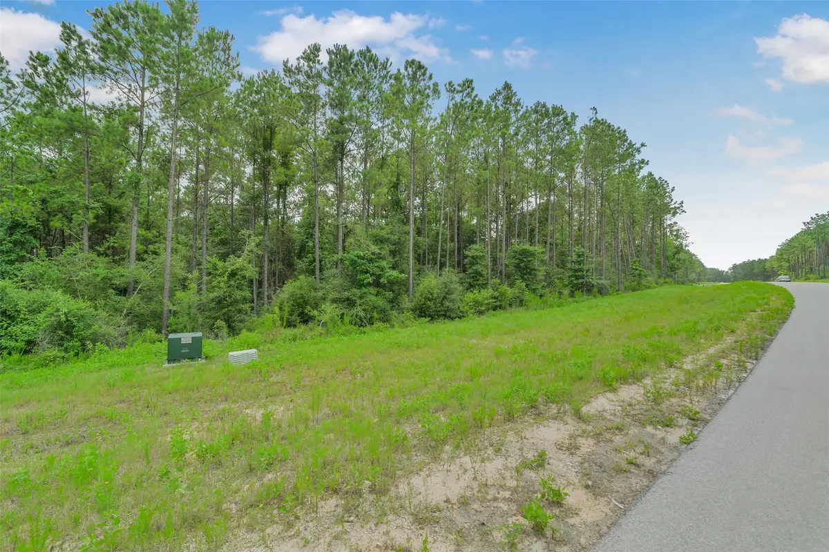 15832 Ridge Oak Road, Willis, TX 77378 - #1
