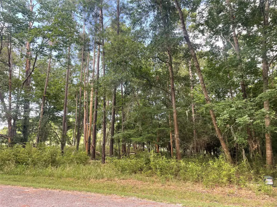 11 Crown Drive, Coldspring, TX 77331 - #3