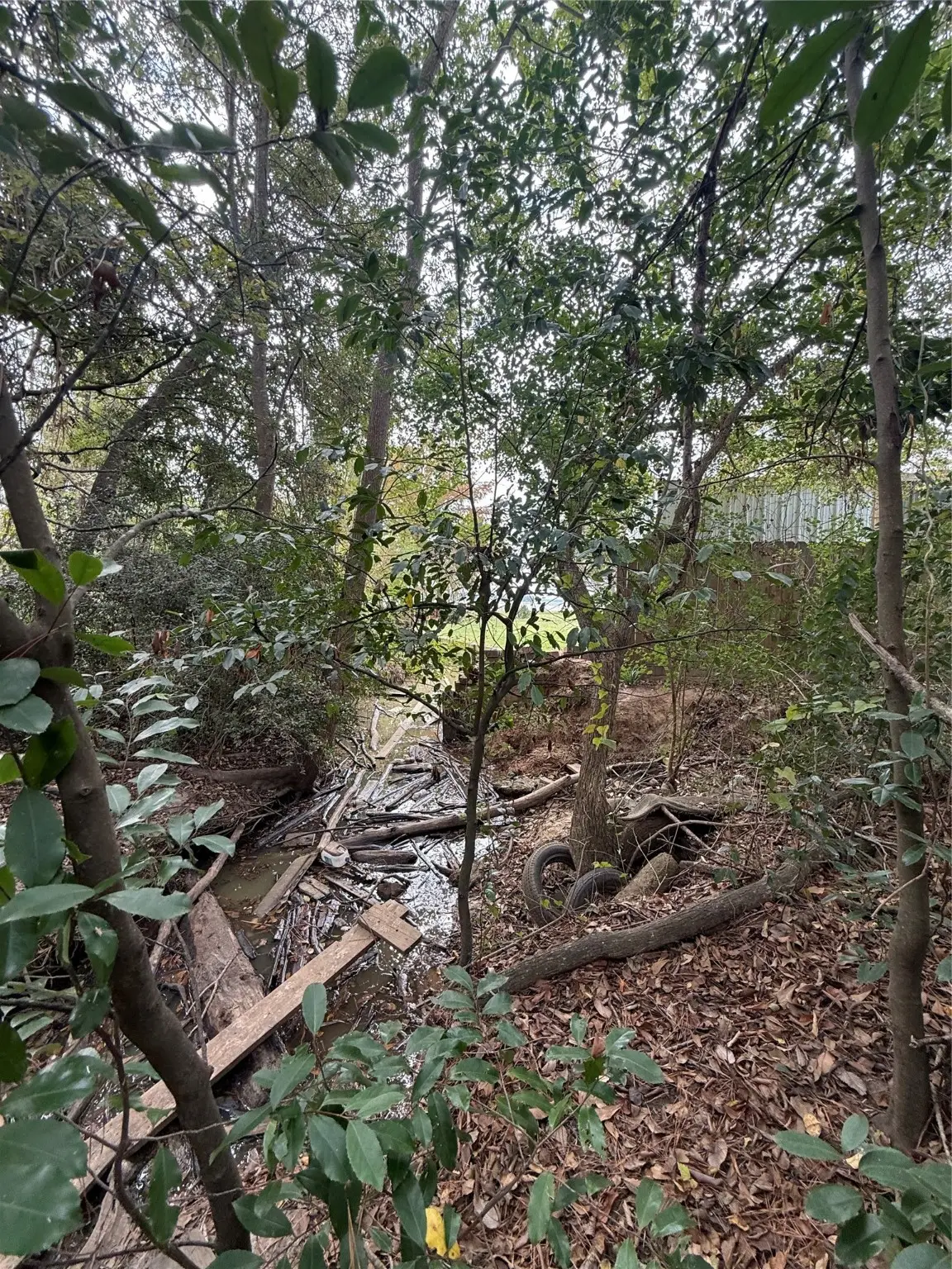 0 Sequoia Drive, Livingston, TX 77351 - #1