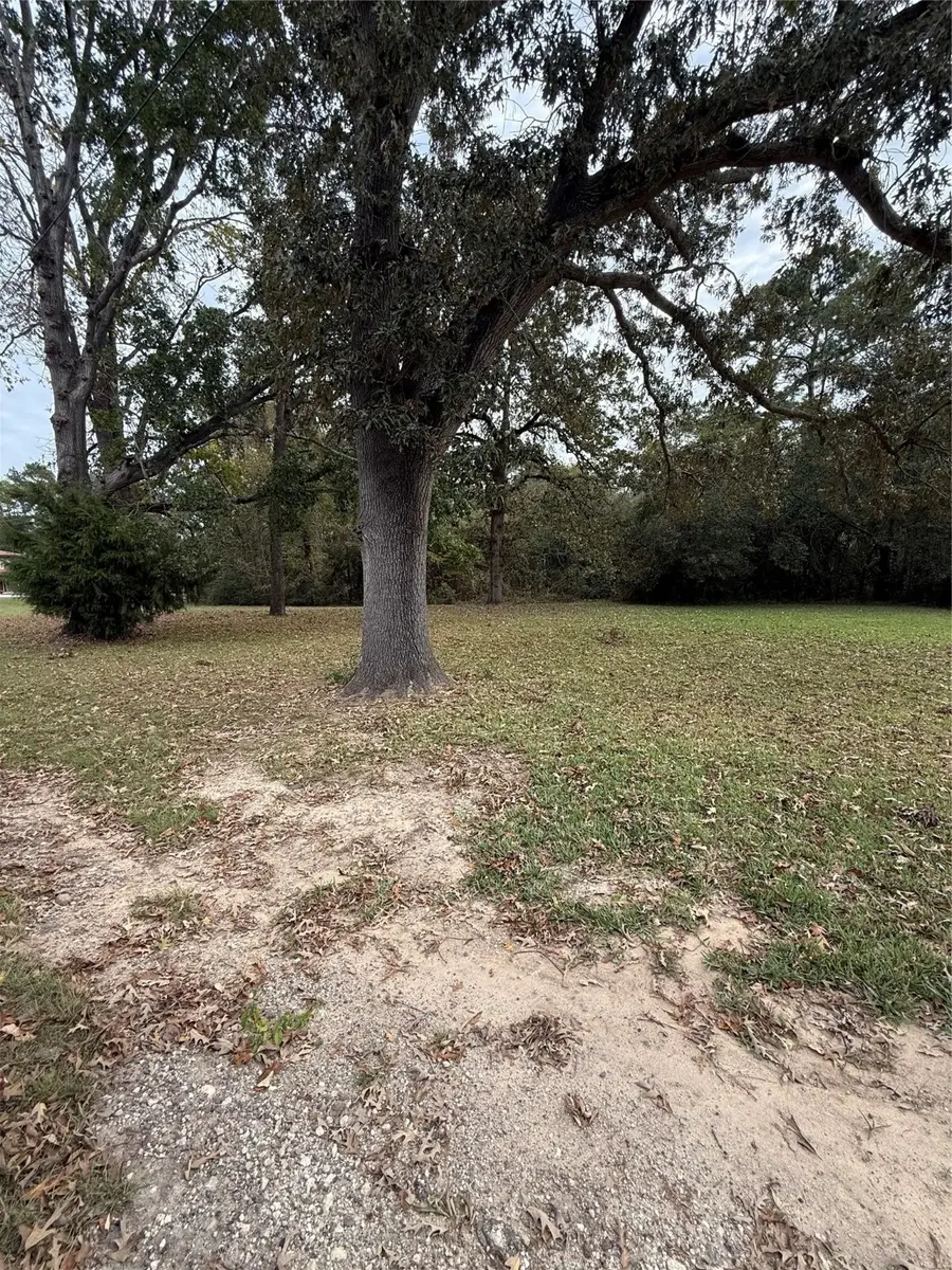 0 Sequoia Drive, Livingston, TX 77351 - #3