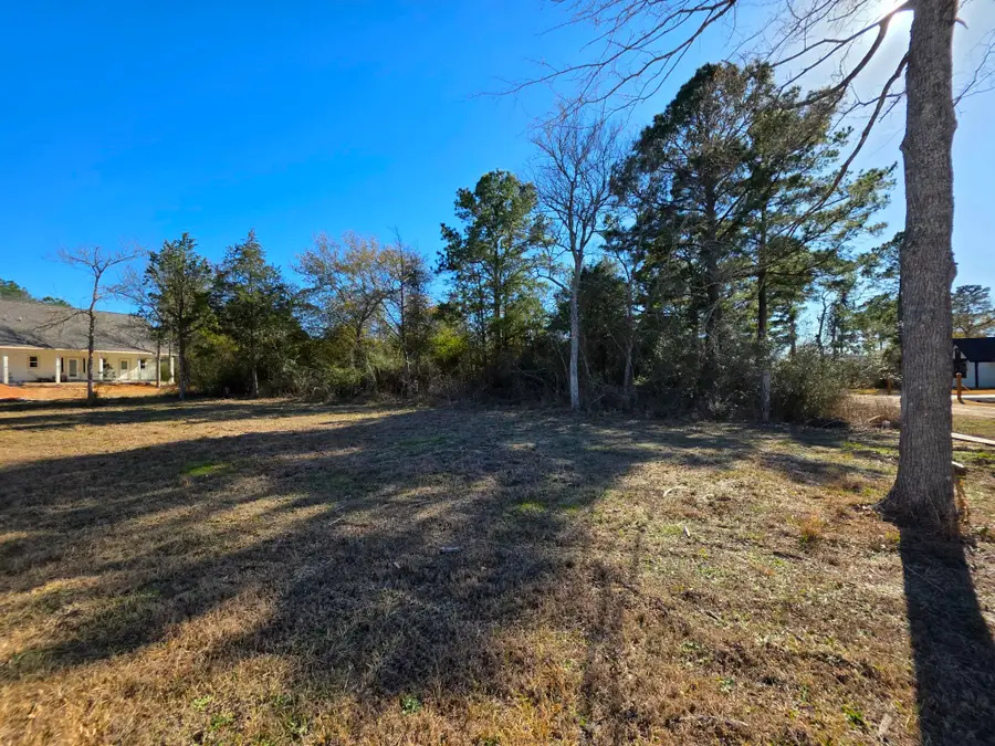 24887 Roscommon, Hempstead, TX 77445 - #2