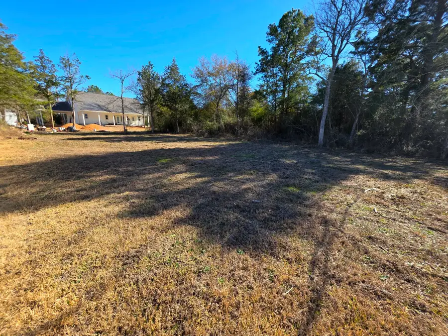 24887 Roscommon, Hempstead, TX 77445 - #3