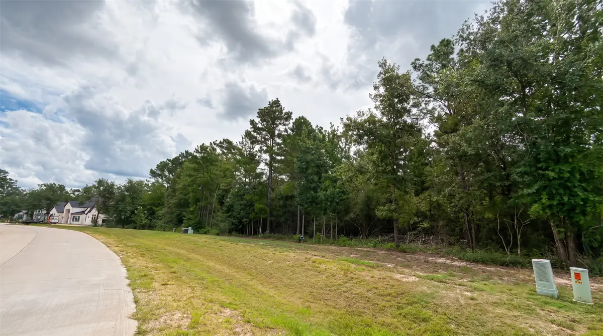 23725 Birch Grove Rd, Montgomery, TX 77316 - #1