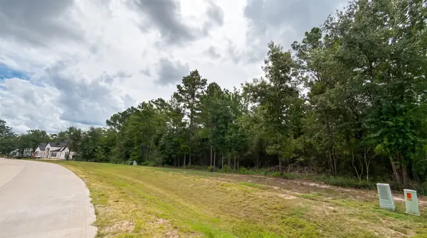 23725 Birch Grove Rd, Montgomery, TX 77316