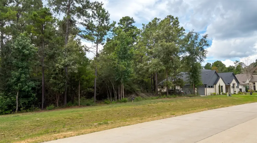 23725 Birch Grove Rd, Montgomery, TX 77316 - #2