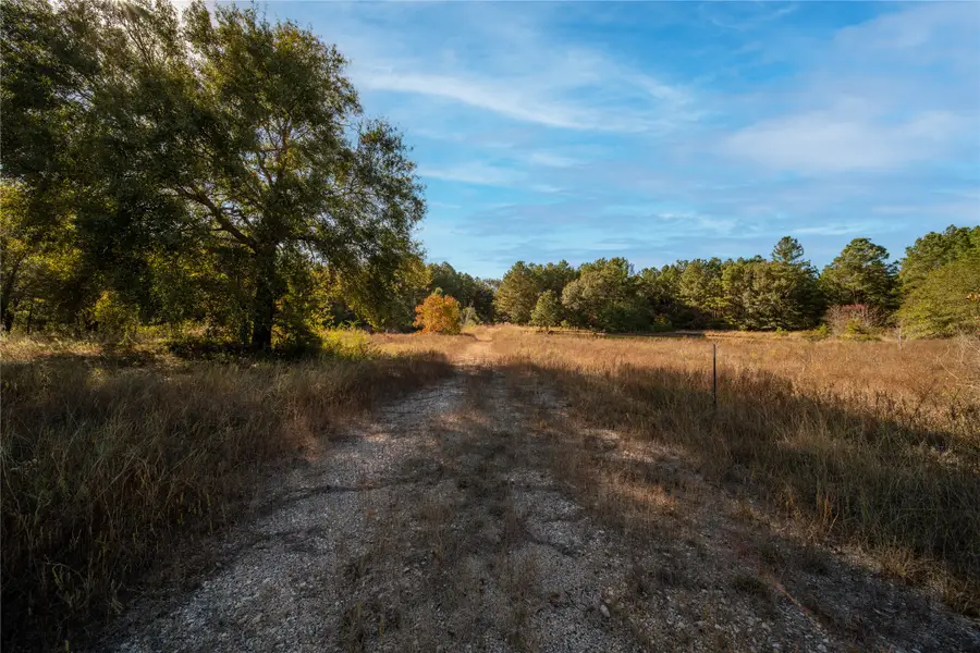 00 Fm-1774, Plantersville, TX 77363 - Image #2