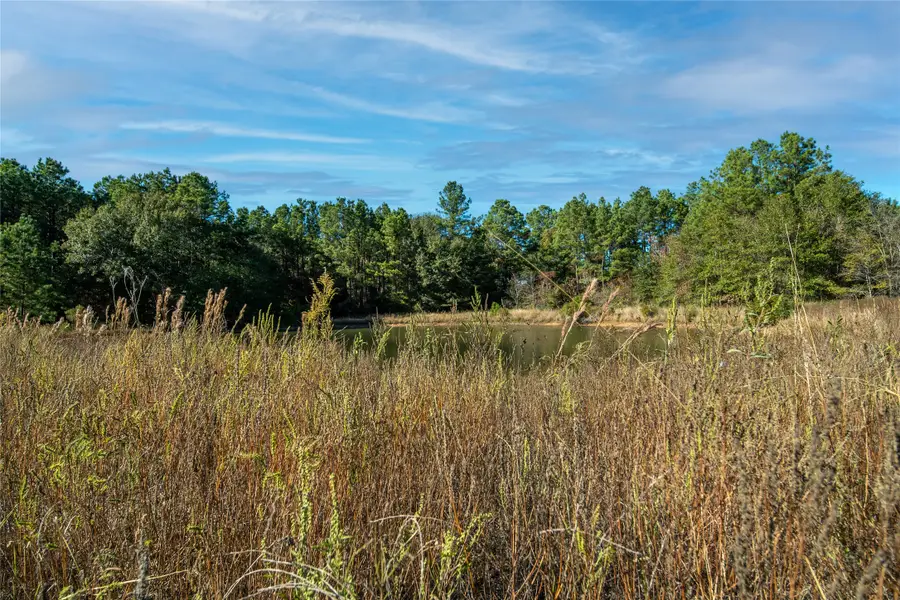 00 Fm-1774, Plantersville, TX 77363 - Image #3