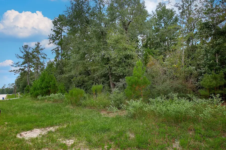 TBD Sky Oak Lane, Huntsville, TX 77340 - Image #3