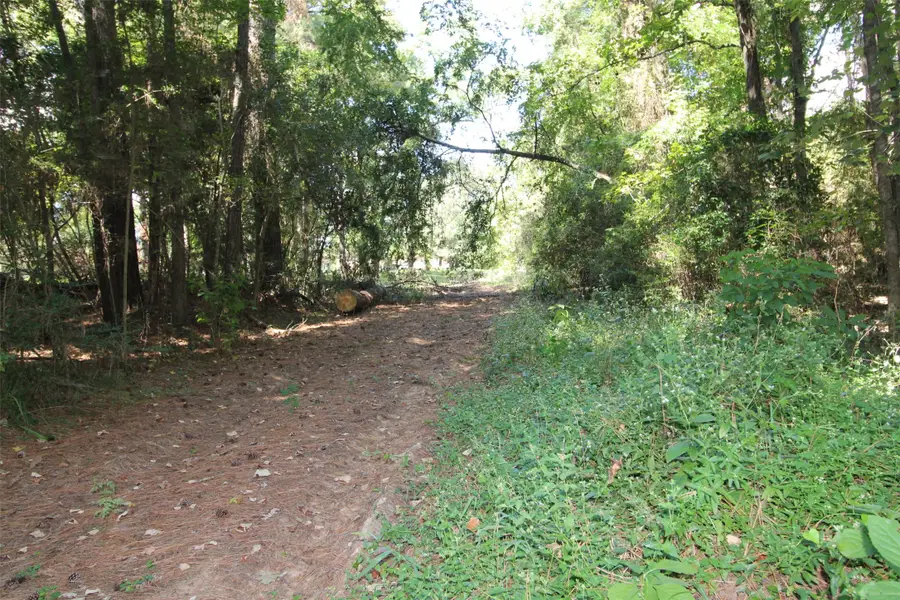 17551 W Fm 1097 Road, Montgomery, TX 77356 - Image #2