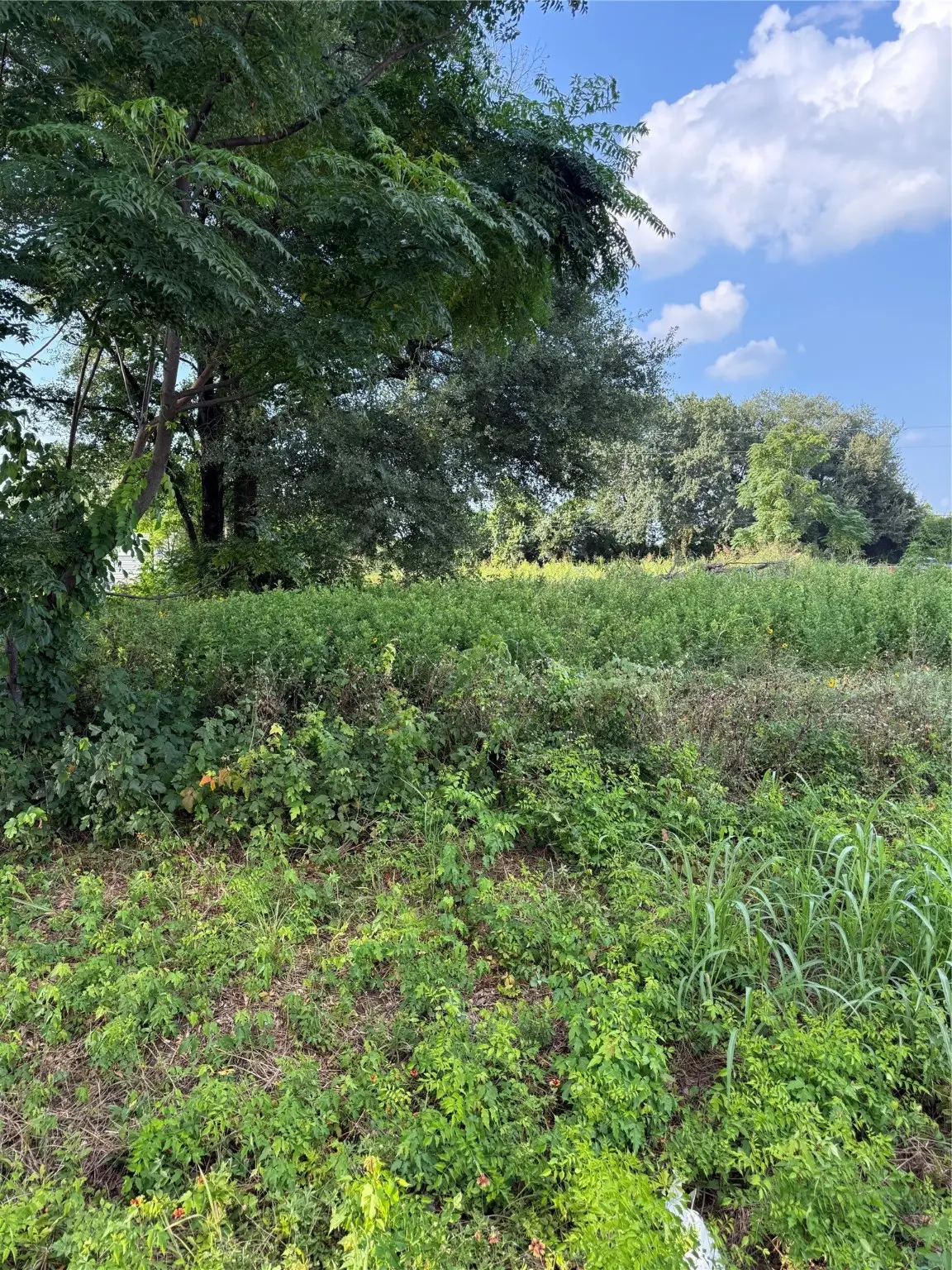 lot 7 Bell Street, Prairie View, TX 77445 - Image #1