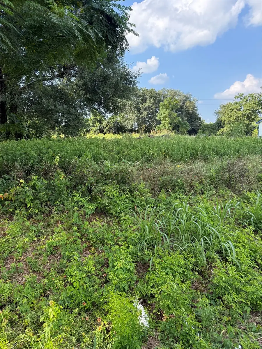 lot 7 Bell Street, Prairie View, TX 77445 - Image #3