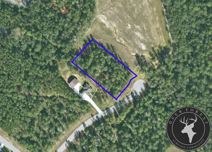 1-4-63 Courage Trail, New Waverly, TX 77358 - #2