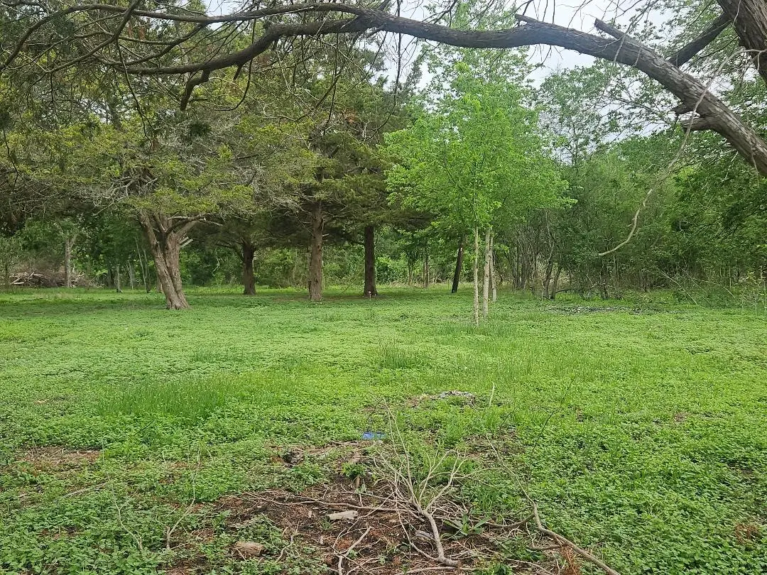 7055 Chadwick Hogan, Chappell Hill, TX 77426 - #1