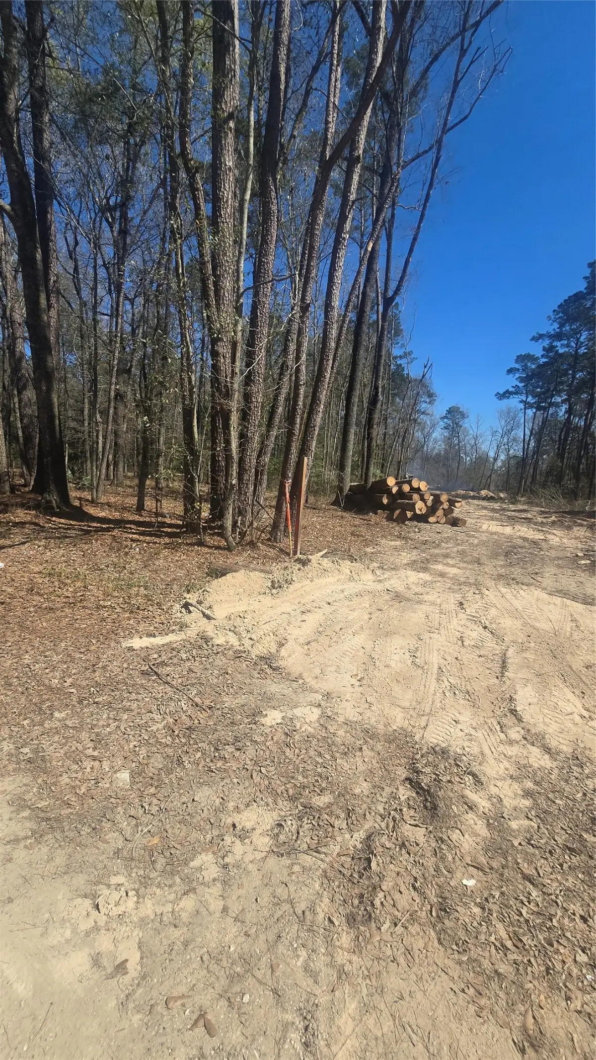 0 N Westwood Dr, Conroe, TX 77302 - #1