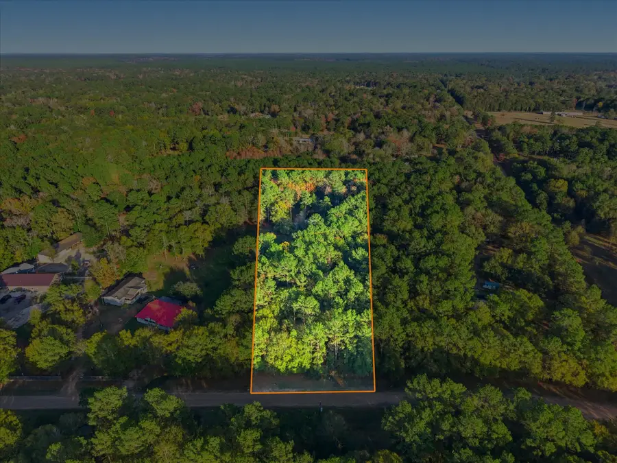 0 Lee Drive, Cleveland, TX 77328 - #2