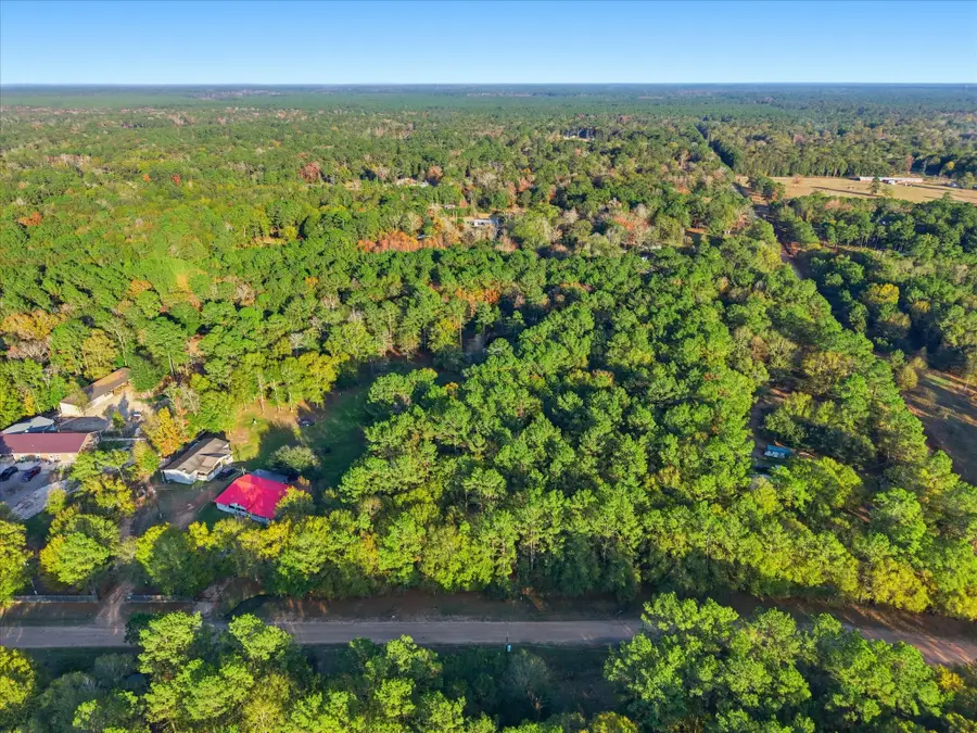 0 Lee Drive, Cleveland, TX 77328 - #3