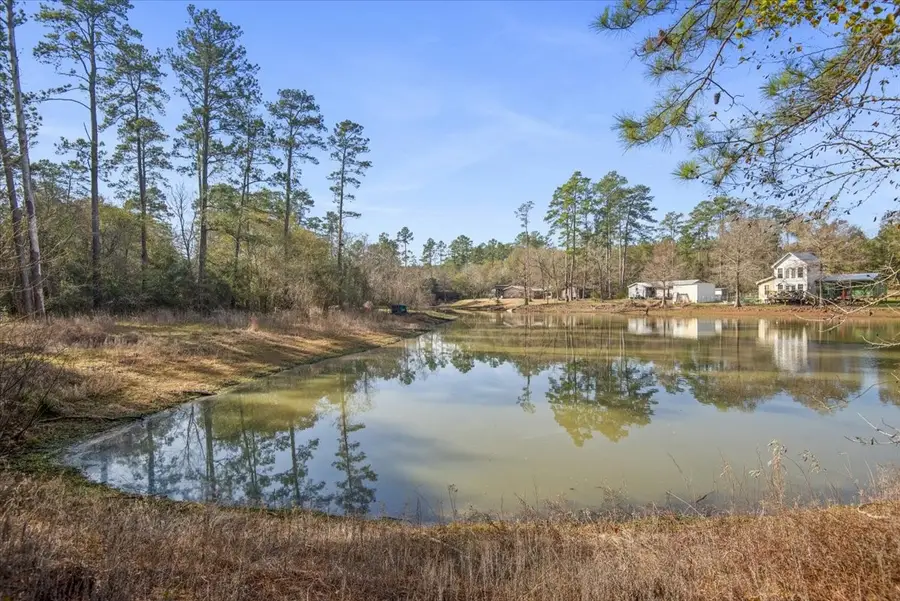 TBD Cr 201 Road, Plantersville, TX 77363 - Image #3