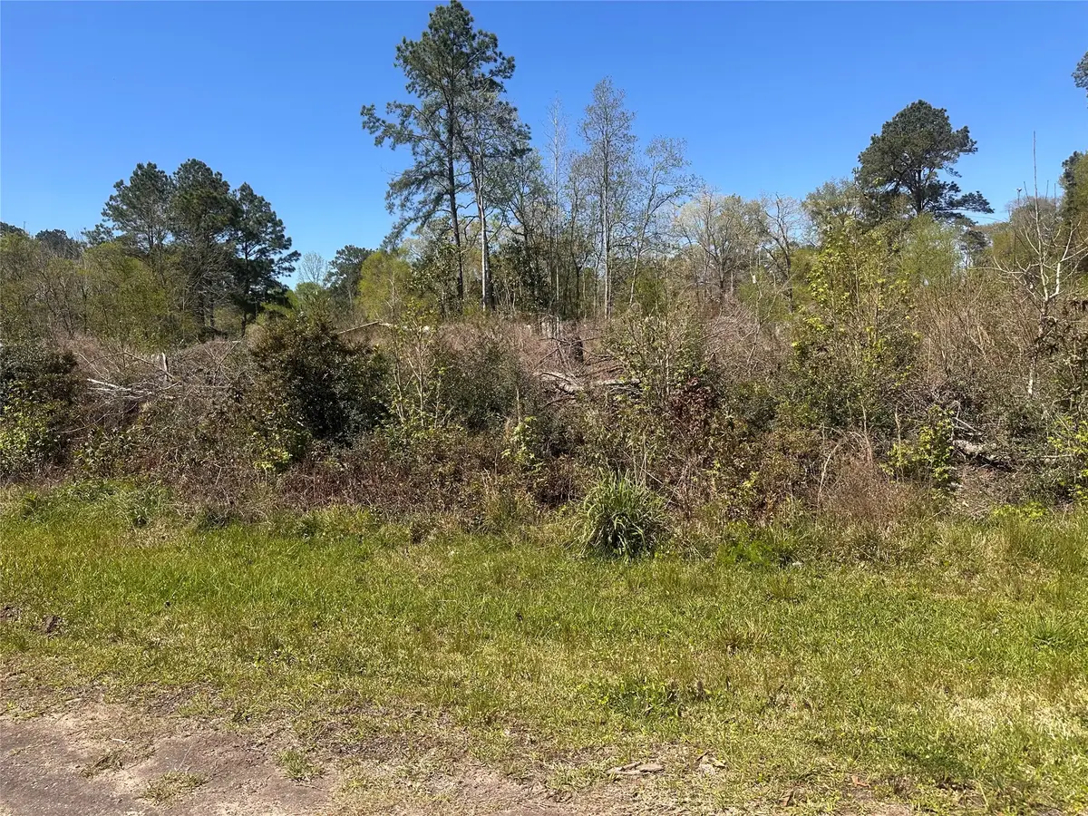 0 Dottie Lane, Shepherd, TX 77371 - #1
