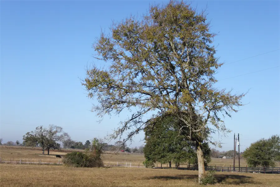 27134 Muckelroy Road, Hempstead, TX 77445 - Image #2