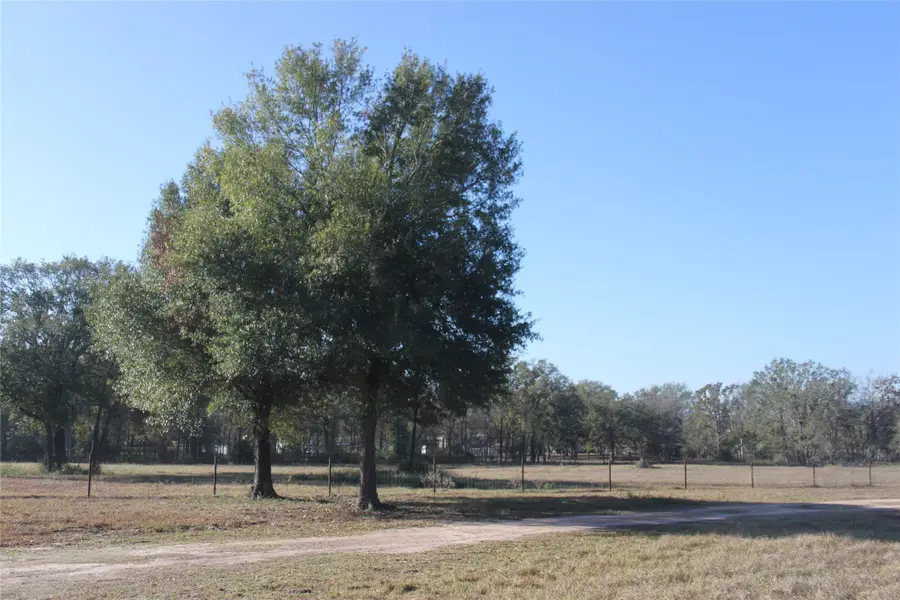 27134 Muckelroy Road, Hempstead, TX 77445 - Image #3