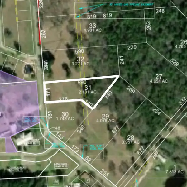 Lot 31 Lake Livingston Lane, Trinity, TX 75862
