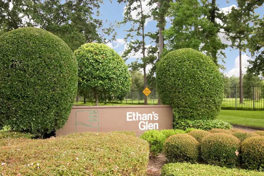 318 Litchfield Lane, Houston, TX 77024 - #3