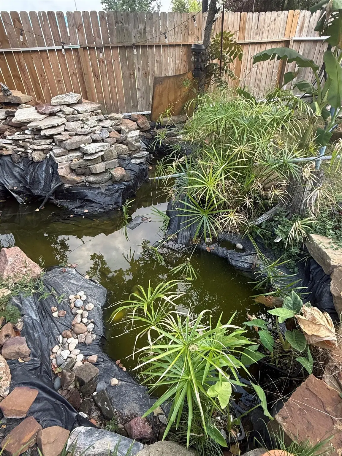 8407 Sonneville Drive, Houston, TX 77080 - Image #1