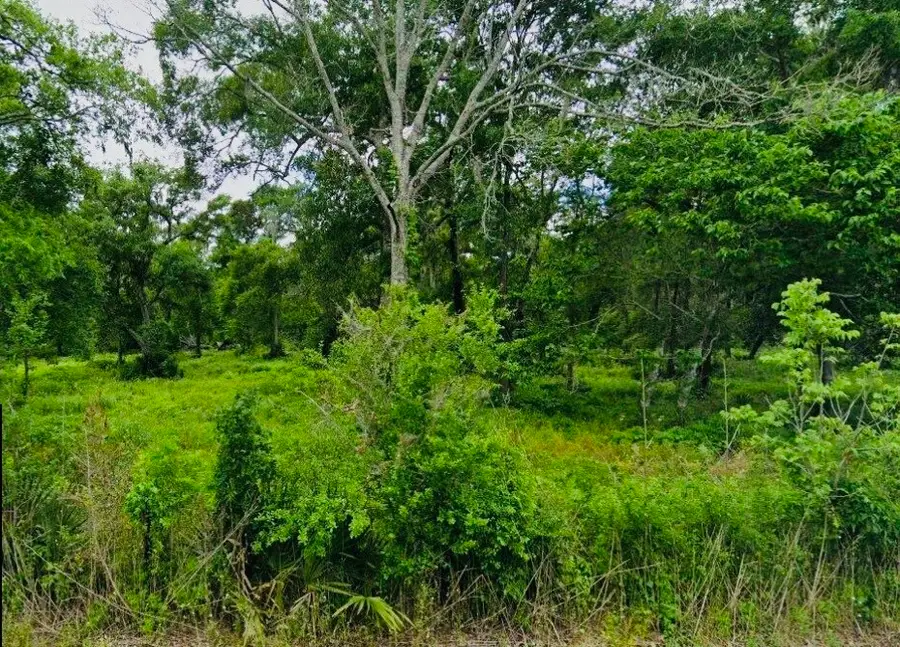 2289 County Road 851, Brazoria, TX 77422 - #2