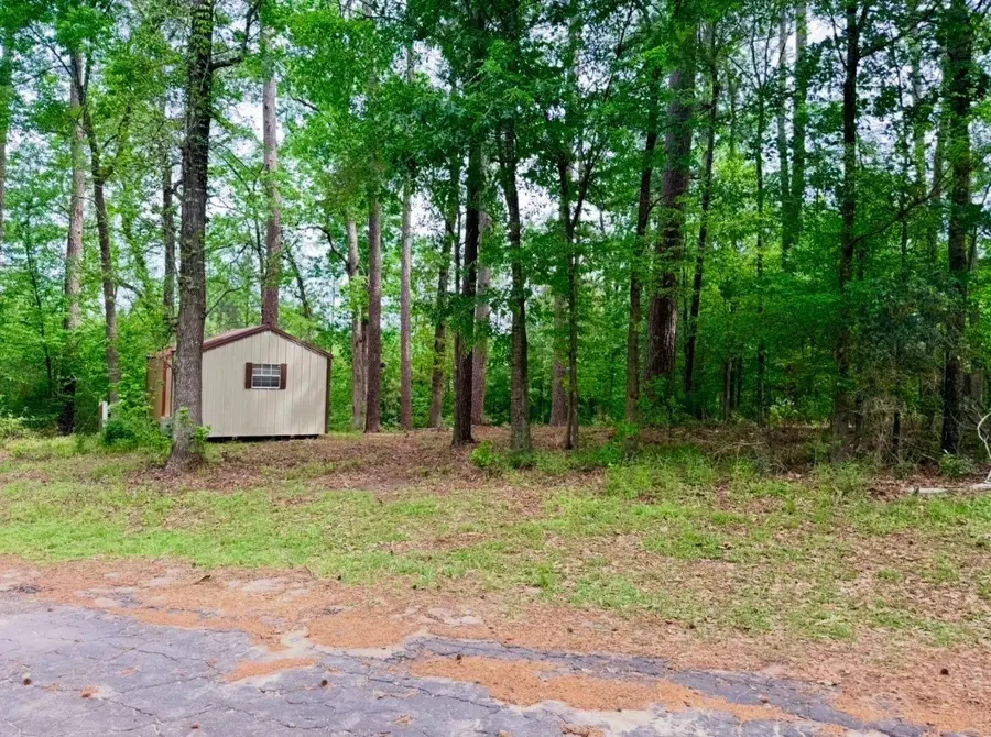 TBD Lakeshore Pt, Livingston, TX 77351 - #3