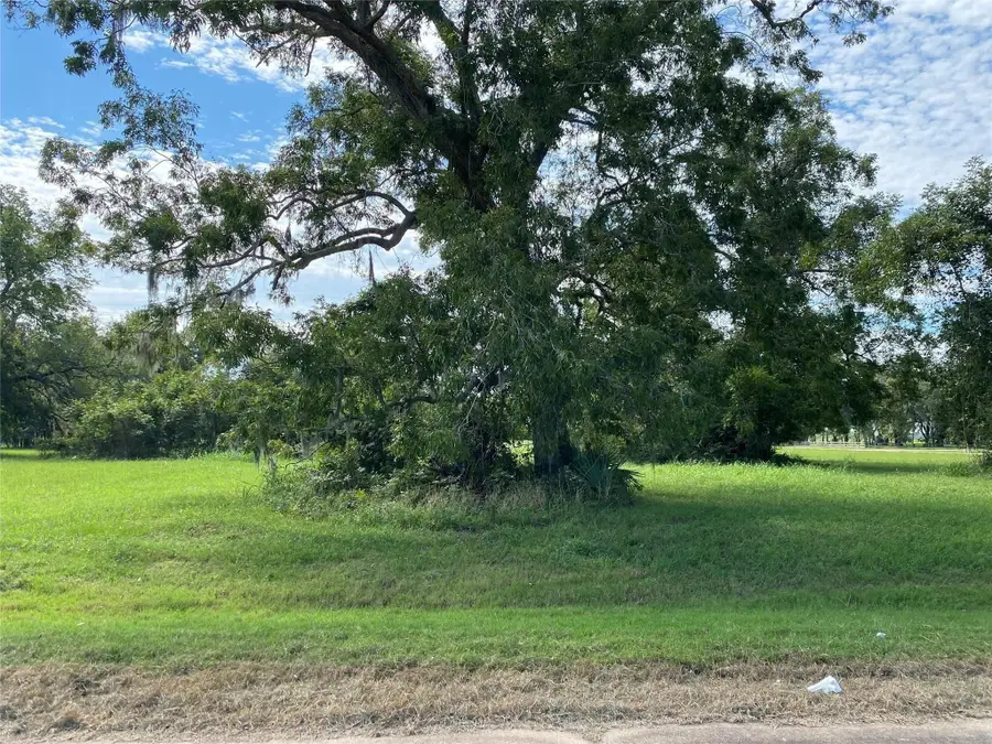 275 Horse Shoe Trail, Angleton, TX 77515 - #3