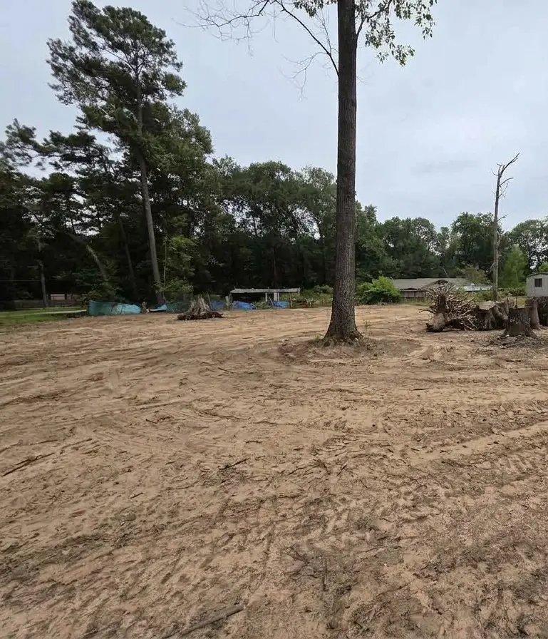 26464 Lantern Lane, New Caney, TX 77357 - #2