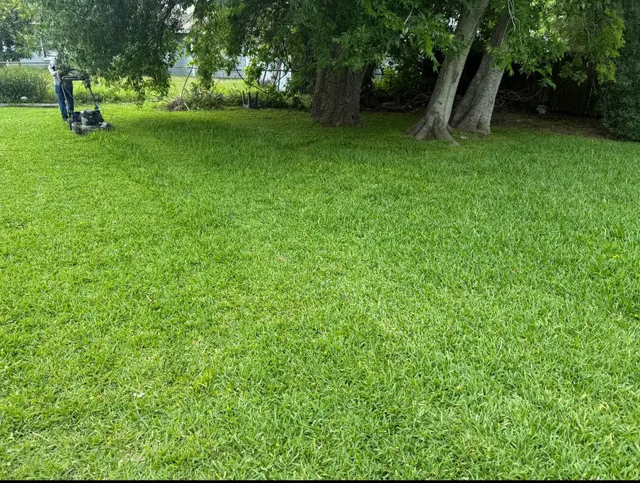 1409 Bringhurst Street, Houston, TX 77020 - #2