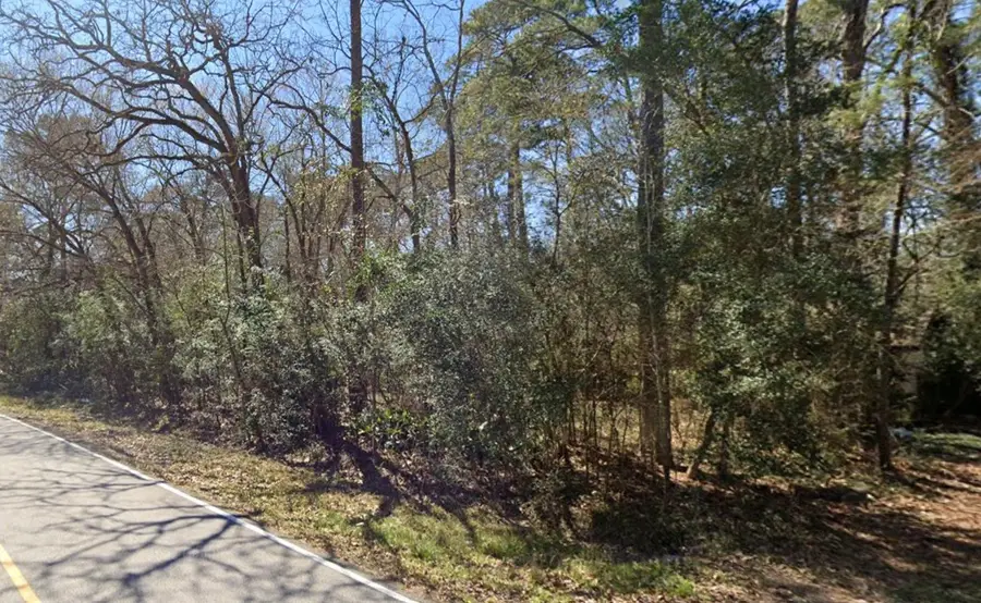 29803 Spring Forest Drive, Spring, TX 77386 - Image #3