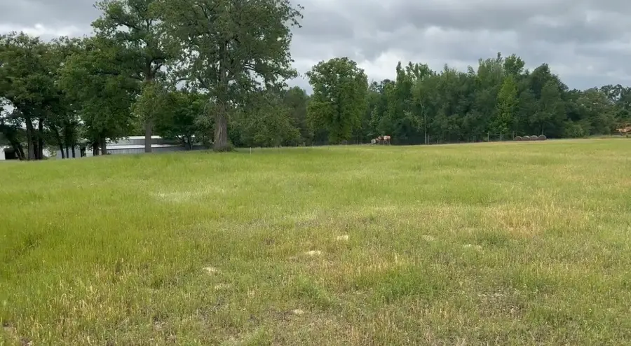 TBD Pr 4100, Marquez, TX 77865 - #3