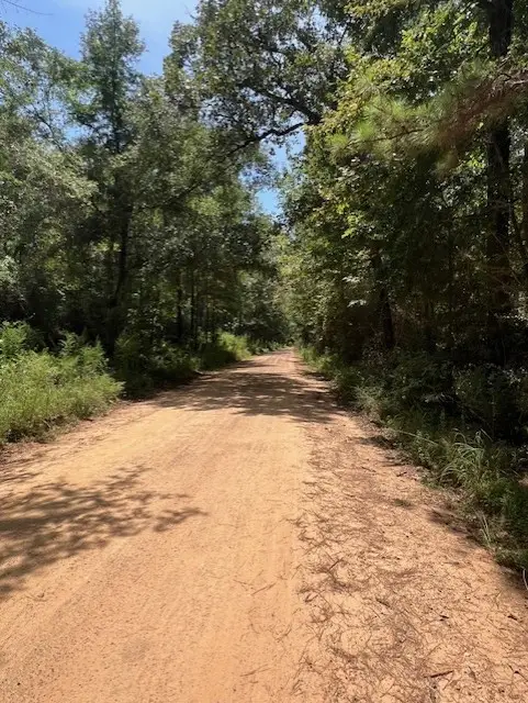 00 Camp Seale Rd, Livingston, TX 77351