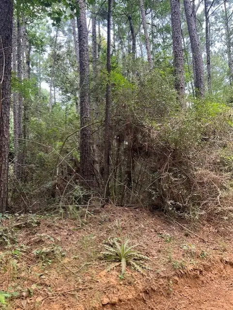 00 Camp Seale Rd, Livingston, TX 77351 - #3
