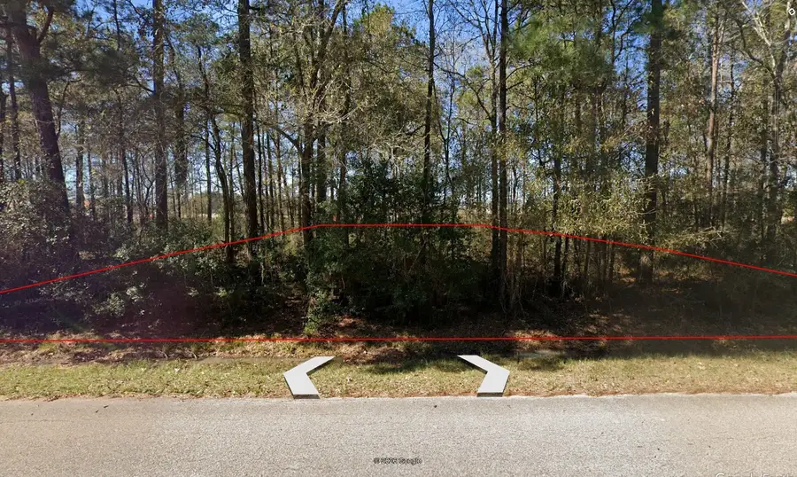 0 Dogwood Lane, Houston, TX 77339 - #3