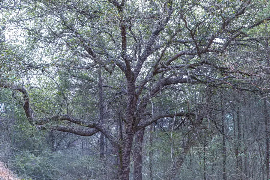 TBD Fm 1094, New Ulm, TX 78950 - #3