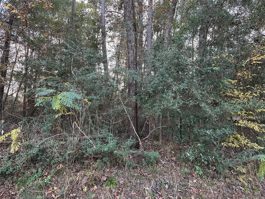 TBD Gary Court, Livingston, TX 77351 - #2