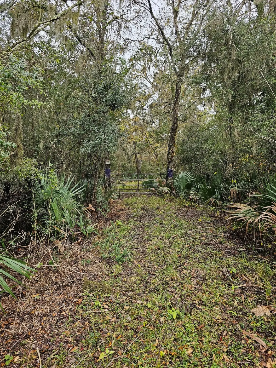 1070 County Road 136 / Live Oak, Van Vleck, TX 77482 - Image #1