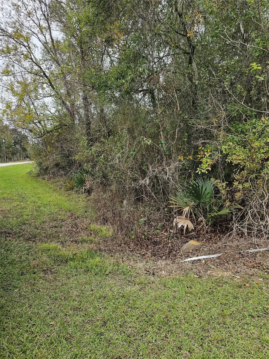 1070 County Road 136 / Live Oak, Van Vleck, TX 77482 - Image #3